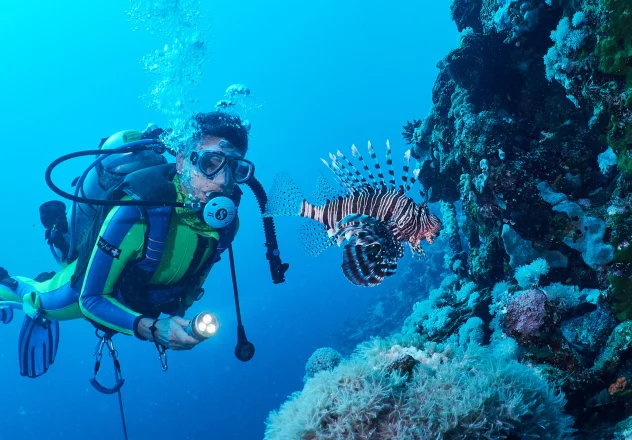 Sunrise over Indonesia's tropical coast near Raja Ampat